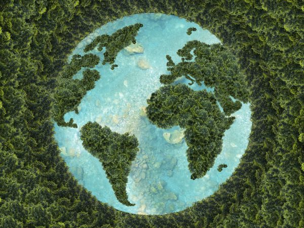 image of the globe, with the countries filled in with trees, representing sustainability